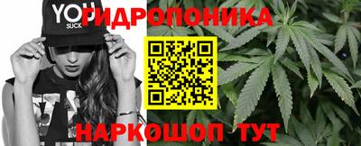 молекула духа Ливны
