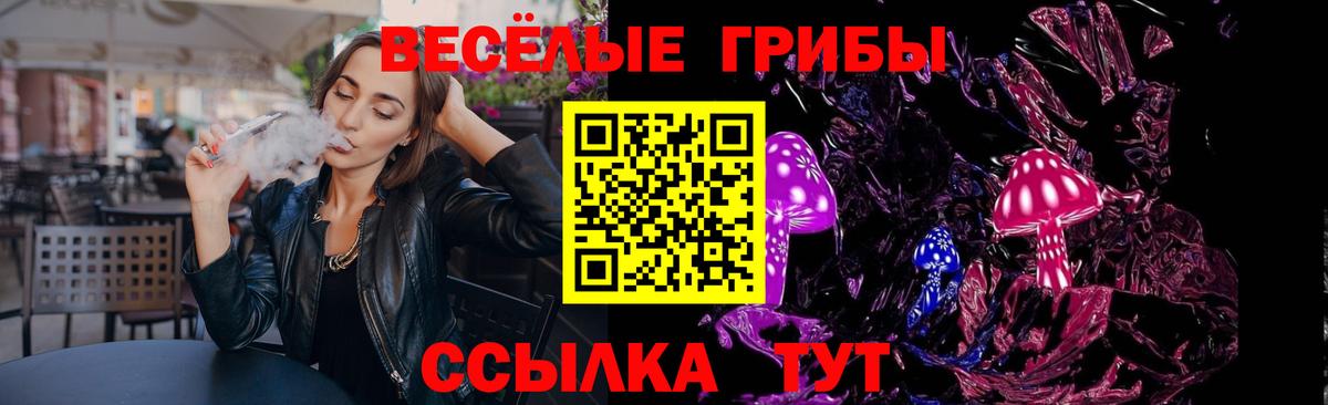 Псилоцибиновые грибы Psilocybine cubensis Дзержинский